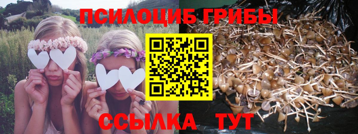 Псилоцибиновые грибы ЛСД Ангарск