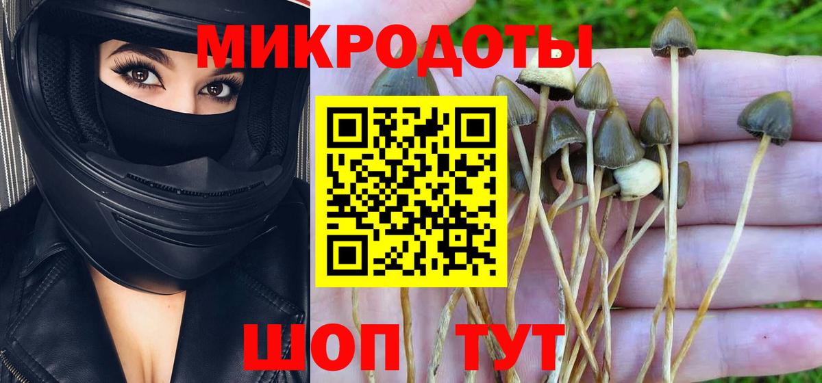 Ангарск  Галлюциногенные грибы Cubensis  купить  цена  Вход с VPN 